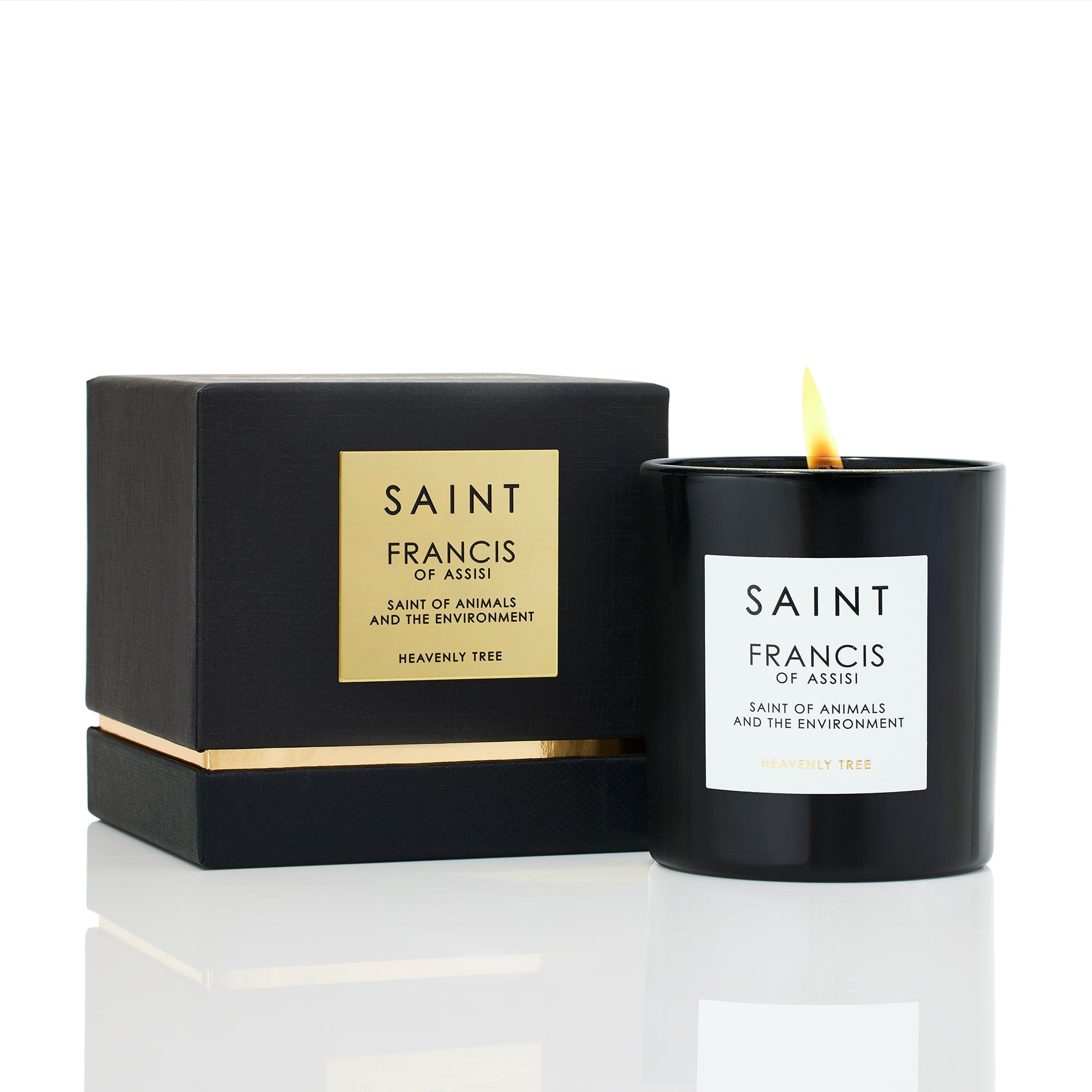 Saint Francis Of Assisi Candle