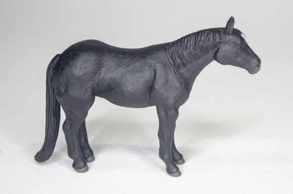 Quarter Horse