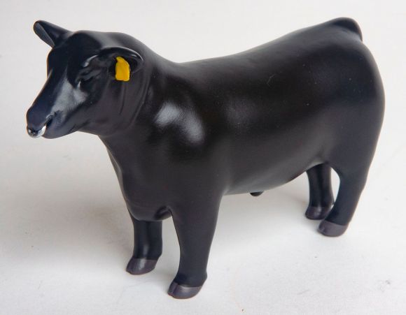 Show Bull W/ Nose Ring