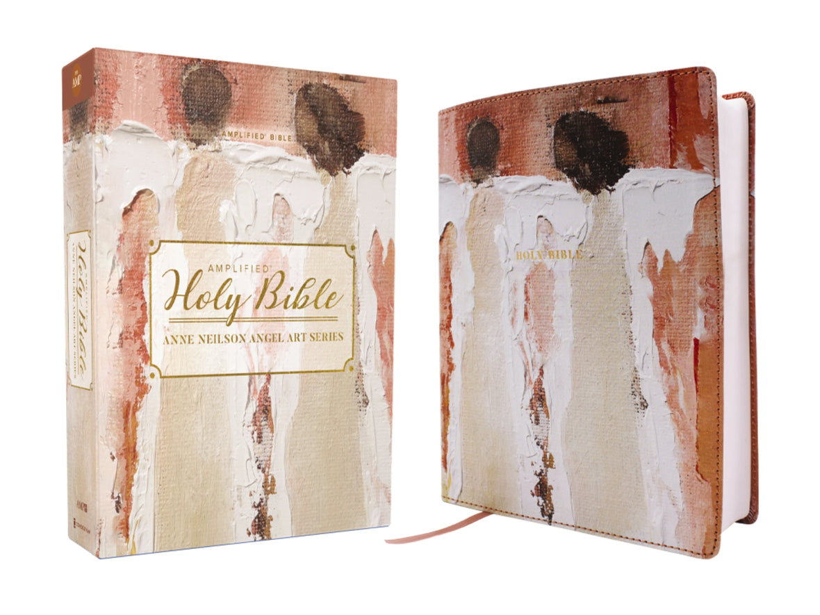 Amplified Holy Bible Angel Art