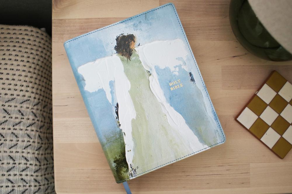 Holy Bible Anne Neilson Series