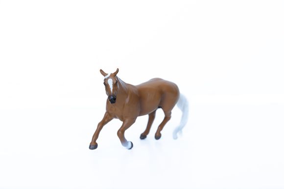 Barrel Horse