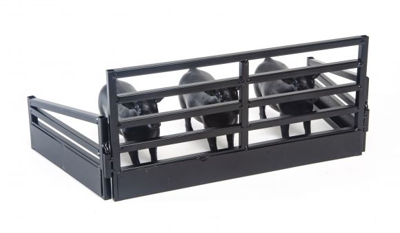 Show Cattle Stall Display