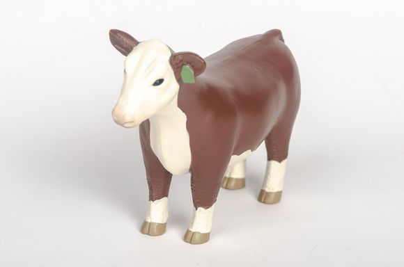 Champion Heifer