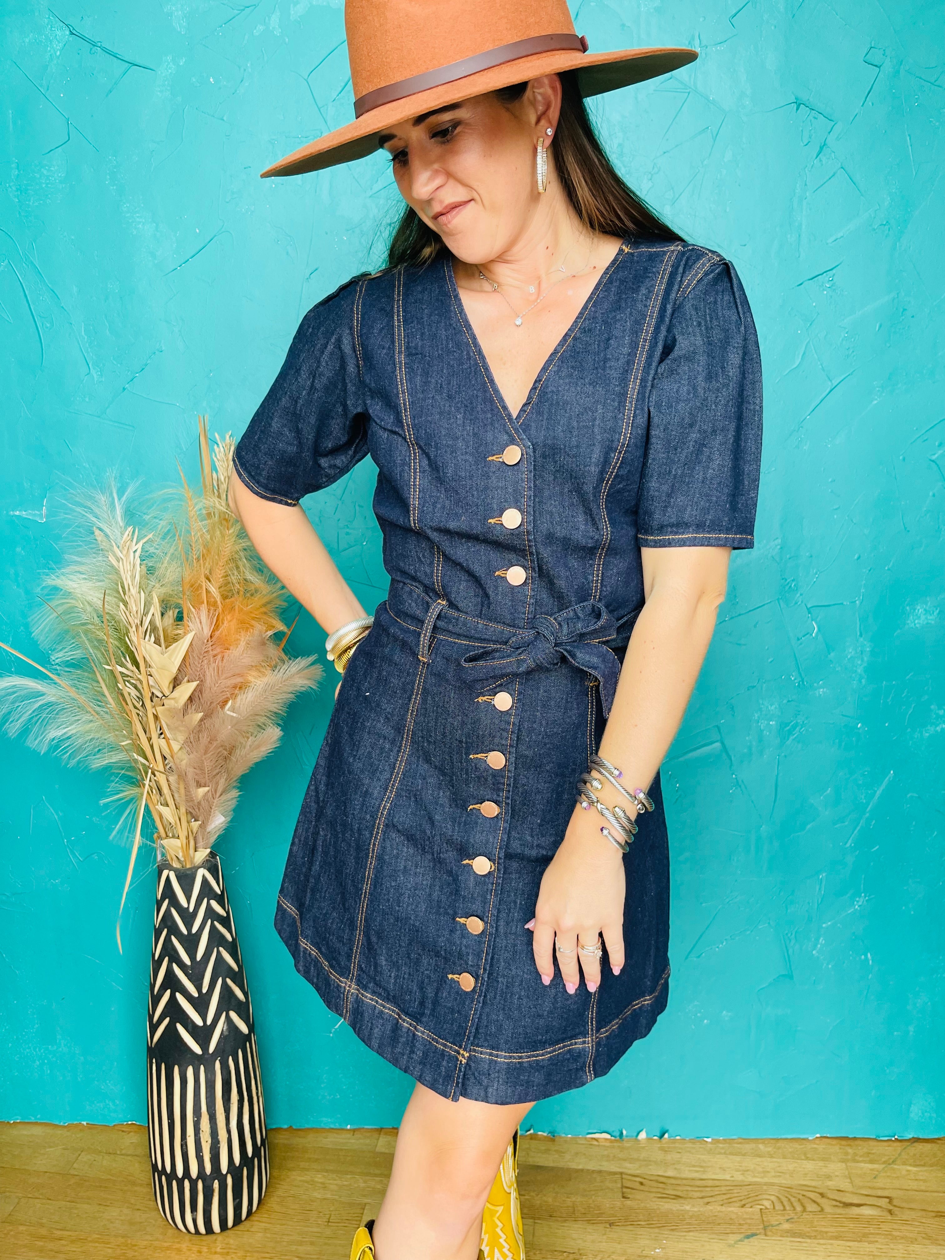 Chloe Denim Button Up Dress