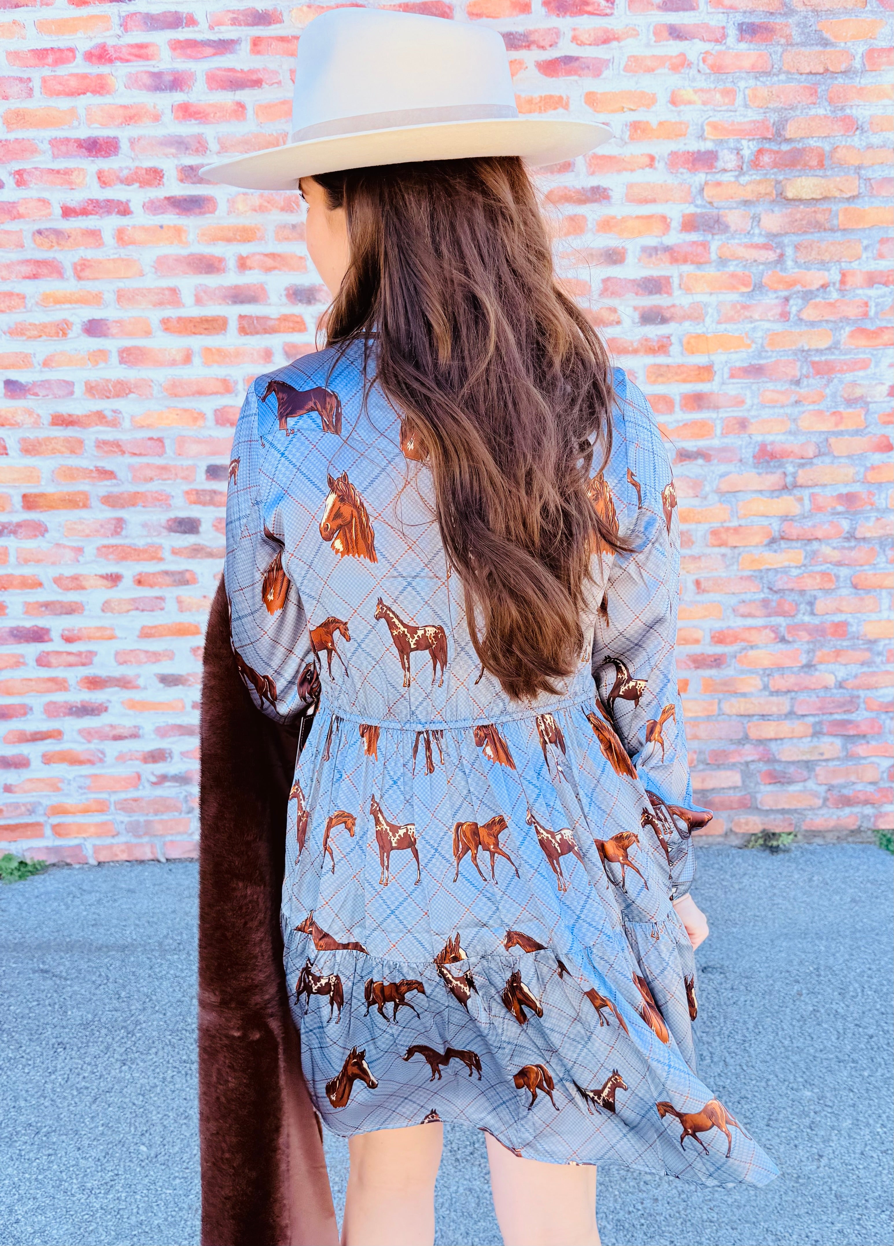 Nu Rodeo Dress