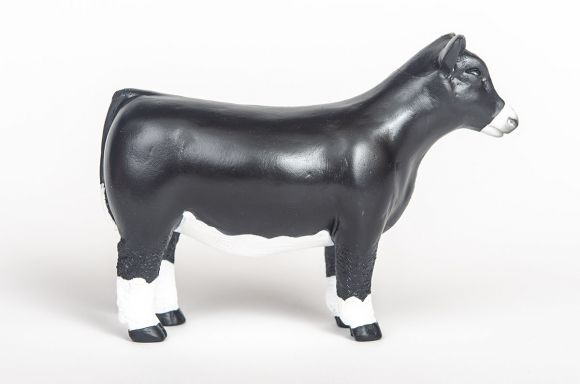 Champion Heifer