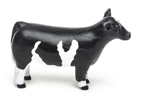Champion Show Steer
