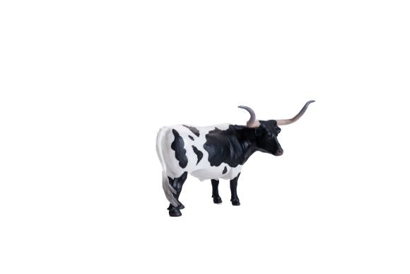 Texas Longhorn Steer