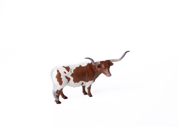 Texas Longhorn Steer
