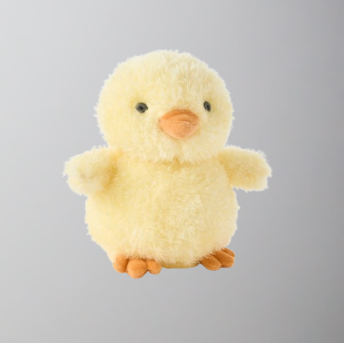 Baby Chick Toy