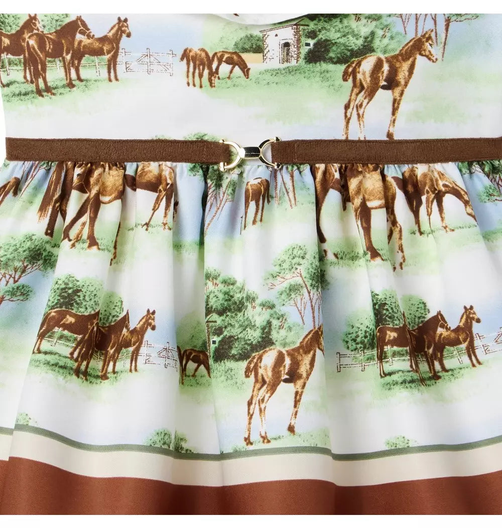 Multi Horse Dress