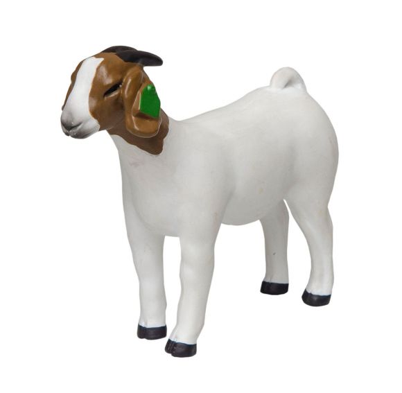 Grand Champion Goat