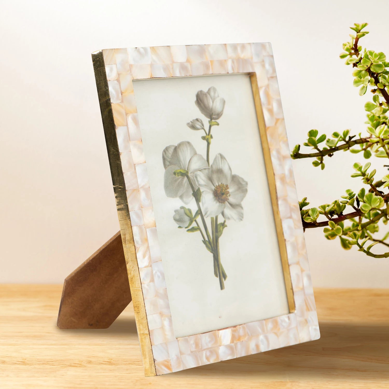 Mother Of Pearl Photo Frame