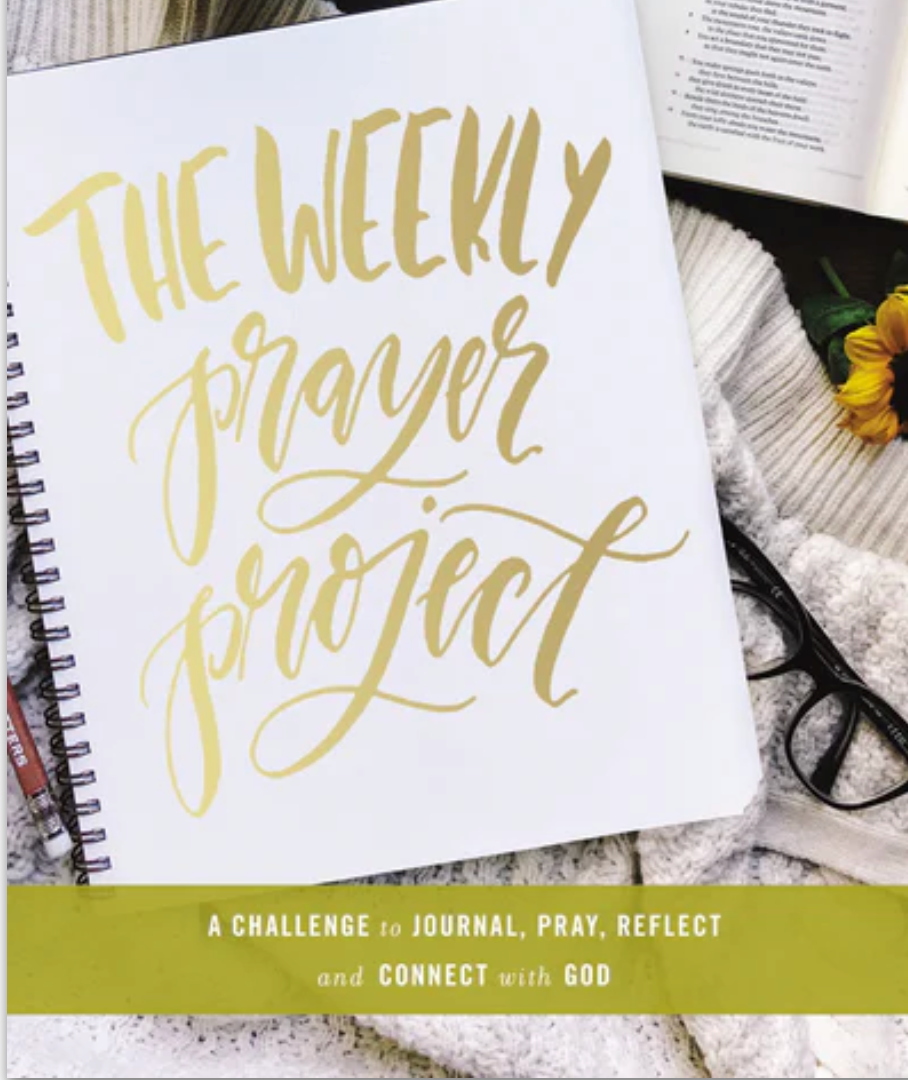 Weekly Project Book