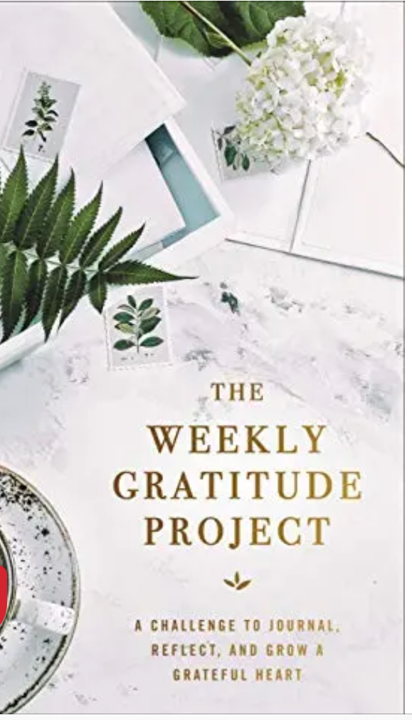 Weekly Project Book
